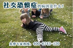 为什么会有那么多人患上社交恐惧症
